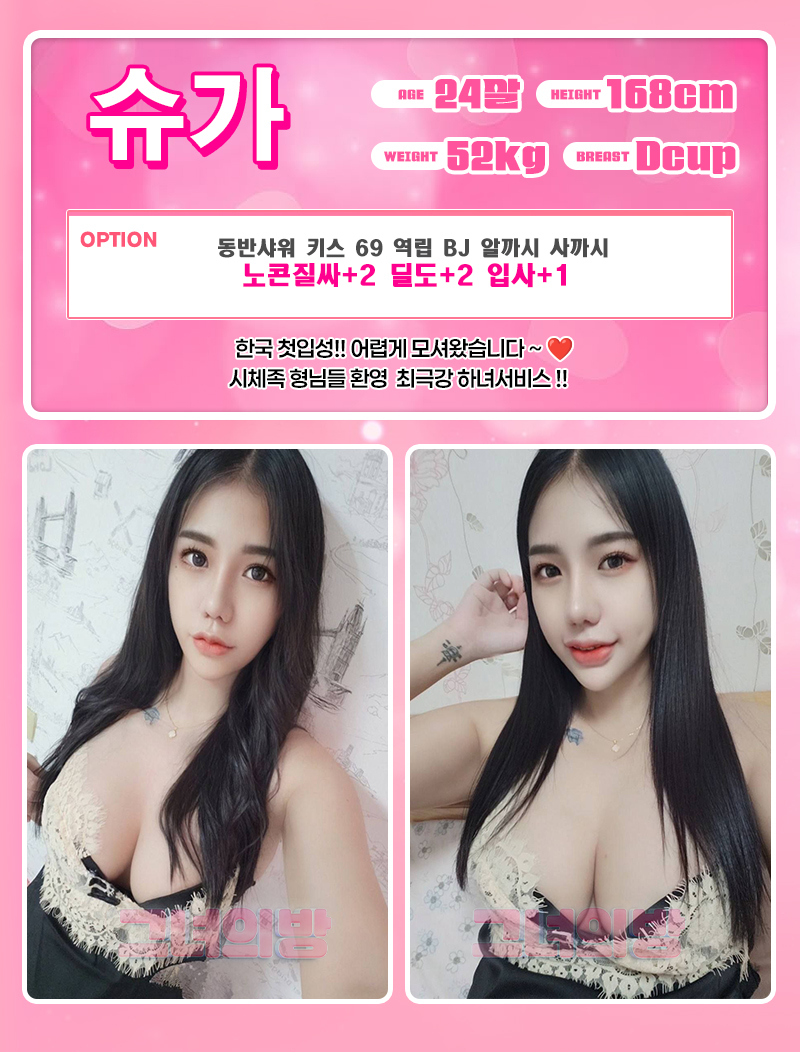 슈가.jpg